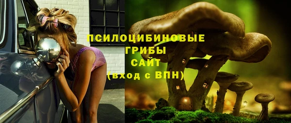 ешки Алексеевка